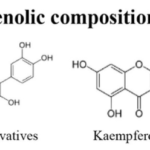 Polyphenols with antioxidant value found in Quinoa